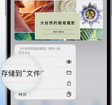 罗源apple维修中心分享iPhone文件应用中存储和找到下载文件