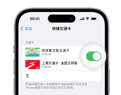 罗源apple维修点分享iPhone上更换Apple Pay快捷交通卡手绘卡面 