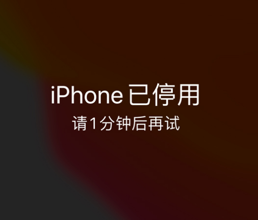 罗源苹果手机维修分享:iPhone 显示“不可用”或“已停用”怎么办？还能保留数据吗？ 