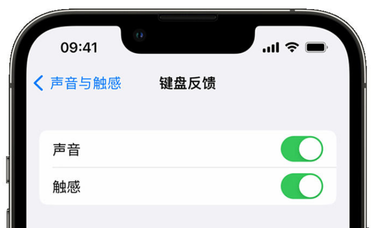 罗源苹果手机维修分享iPhone 14触感键盘使用方法 