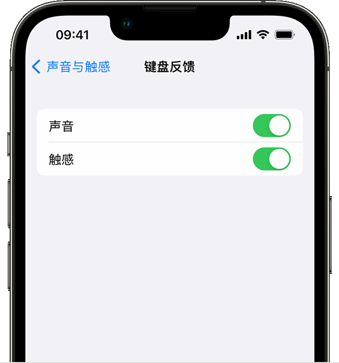 罗源苹果14维修店分享如何在 iPhone 14 机型中使用触感键盘 