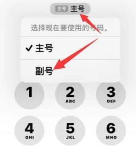 罗源苹果14维修店分享iPhone 14 Pro Max使用副卡打电话的方法 