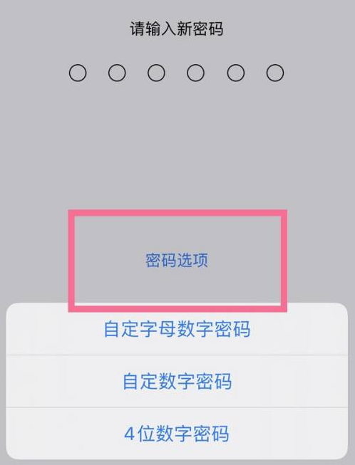 罗源苹果14维修分享iPhone 14plus设置密码的方法 