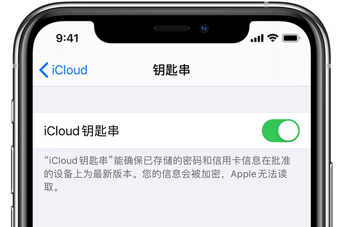 罗源苹果手机维修分享在 iPhone 上开启 iCloud 钥匙串之后会储存哪些信息 