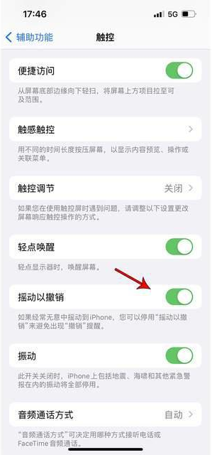 罗源苹果手机维修分享iPhone手机如何设置摇一摇删除文字 